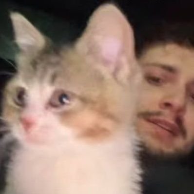 BipolarCigdem's profile picture. Bu hesabımıda kapatmayın lütfen🙏🏻🙏🏻