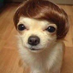 yasuhiro5291's profile picture. 