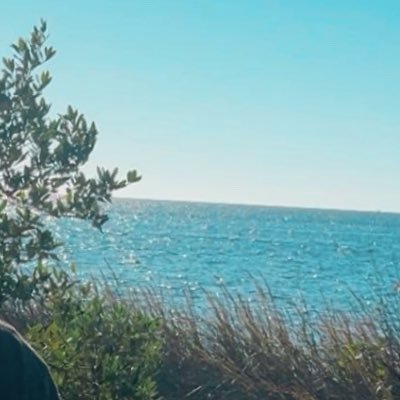 kaylaagorton's profile picture. 