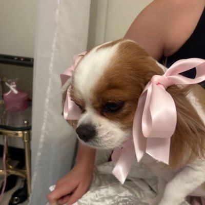 babyjaymoo's profile picture. personal account | wmtw khr djsu