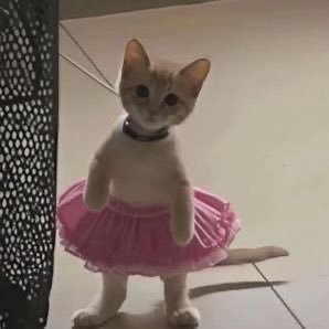 ixii6s's profile picture. غالية الأثمان شخصياً