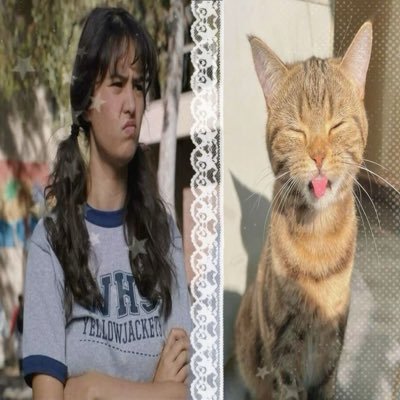 jnkstarss's profile picture. eu i taylor swift tomando antidepressivo na porta do cinema