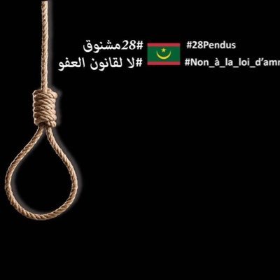 touly20's profile picture. Sociologue - Grant Manager - Gestion Programme/Fonds - Feministe #Mauritanie