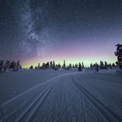 NordicNature88's profile picture. 