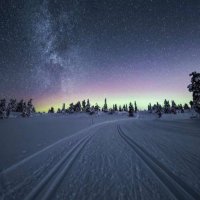 Nordic Nature (@nordicnature88) 's Twitter Profile