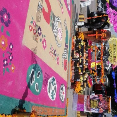 mario768479's profile picture. 