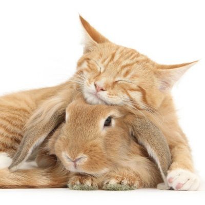 1AO_YEJUN's profile picture. 20⬆️ / 옞른인데 메인은💜💙 / RT 많이 하는 편🫠
썰도 가끔 쓰긴 쓰는데요..