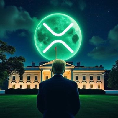 Jo13551Be's profile picture. 