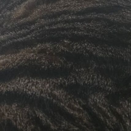 JaxCarter9200's profile picture. COYS!!! 🤍 | @JaxCarter920 • @JaxCarter92priv | Aspiring future Football Manager | Hacked and bagged but I'm still here | i fb Spurs fans