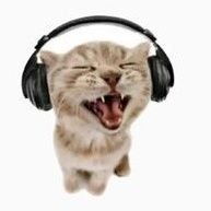 haiykyuu's profile picture. no mourners no funerals