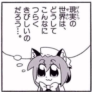 nc_foz's profile picture. 本屋の受付で本読むか編み物したい