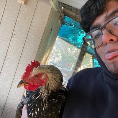 culo12300's profile picture. IL | CO