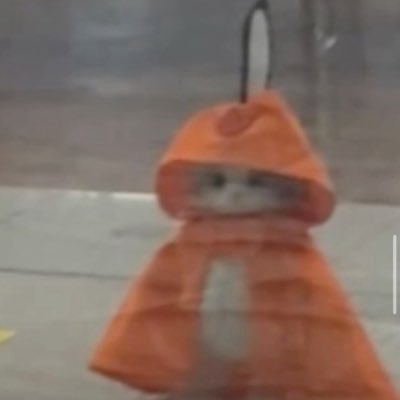 sailornia's profile picture. digitalova