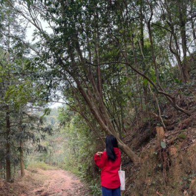 Harukaus's profile picture. 自然の中で深呼吸、心も未来もリセット🌿✨