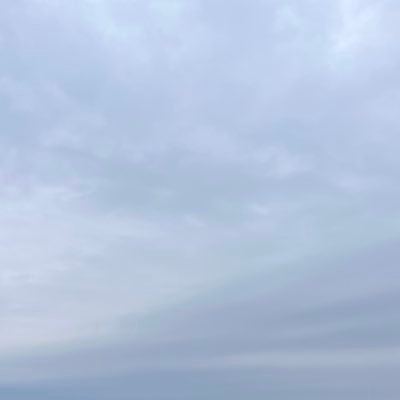 qriffiths's profile picture. 