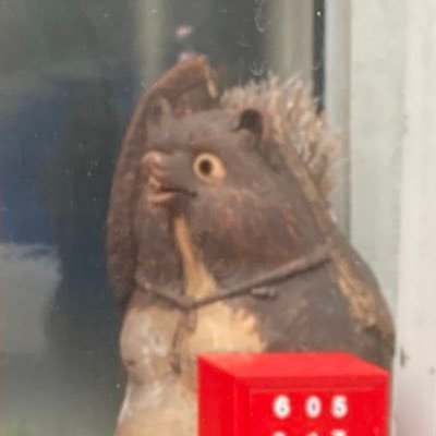 rhododendron333's profile picture. 🍃🥜 20↑ 🌈🕒もPQ豊山 無言フォロー失礼します（無言フォローお気軽に🙏）