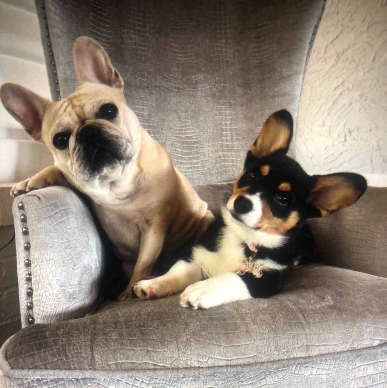 Deb_Fan68's profile picture. 