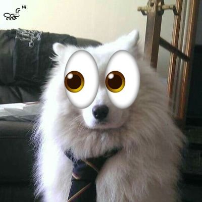 soggycat64's profile picture. 🐌🐜🐕‍🦺 #killallmirrorportalhaters

(feel free to req even if i dont fb ill prob still accept)