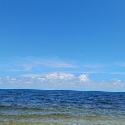 tslvsotr's profile picture. ✰