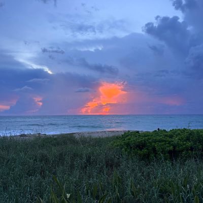 DamasceneRebel1's profile picture. 🇵🇸🇸🇾