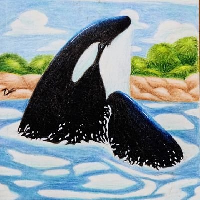 Sugargrim3_'s profile picture. he/him 🏳️‍⚧️🏳️‍🌈 | 21 | I LOVE orcas |
#artist, #cosplayer, photographer | #cetatwt & #hstwt