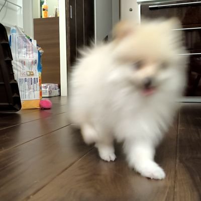 sukiria19's profile picture. バイクはMT25に乗ってます。
ツーリング仲間も募集中( ˇωˇ )
 無言フォローも歓迎です(*'ω'*)