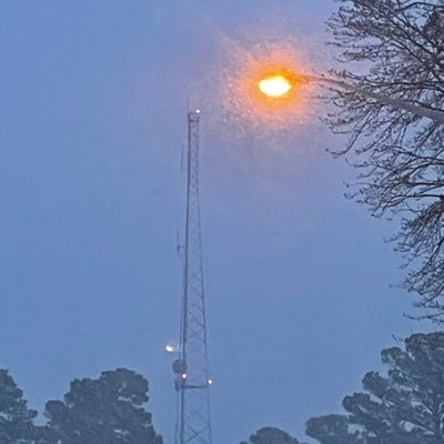 LittleScamp_'s profile picture. Welcome. this place is gonna be *very* empty, so don’t mind that please.