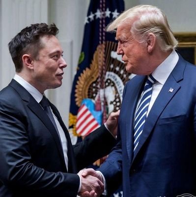 Elon8906364's profile picture. CEO-Twitter (X). SpaceX🚀, -Tesla-Cybertruck🚘