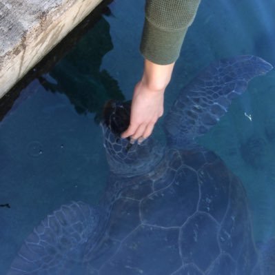 enigmatically57's profile picture. @teatimes57のTwitterです！