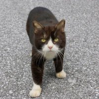 jam (@jam_neconeco) 's Twitter Profile Photo