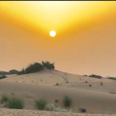 urwisher's profile picture. پاکستان ہے تو ہم ہیں