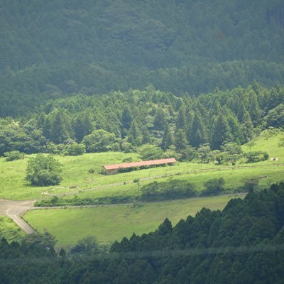 kokorononnon's profile picture. のんのんびよりを愛するユーフォ狂信者 スカクーエアオーナー　ホッジャ主義者