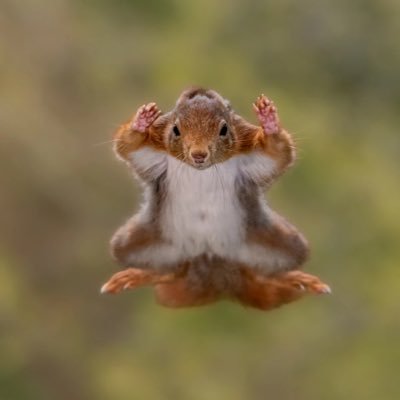 bakaitlassy's profile picture. learning as i go along.