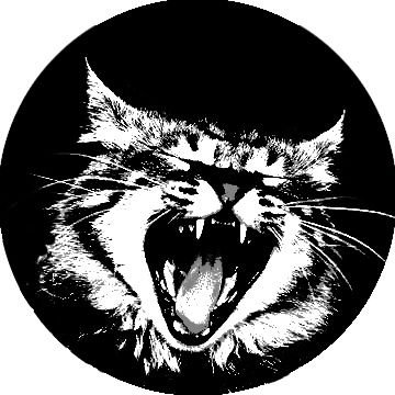 BoboMedieval's profile picture. Se eu reencarnar, quero ser um gato obeso