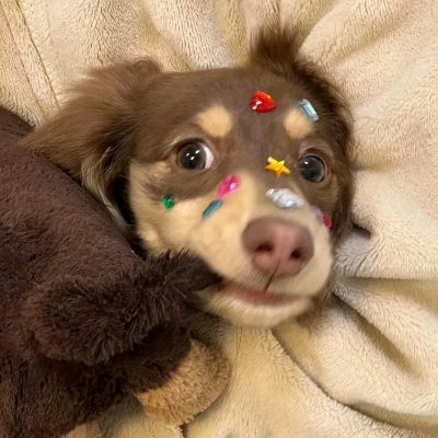 KanishaSuz87610's profile picture. 毎日新しい商品が更新されます、レビュー商品、高額商品、報酬商品、星5商品、FB商品、購入のみの商品、在庫処分品がございます。PayPal返金対応処理。初取引、誠信第一。週末の休みはすぐに情報に返信できない。よろしくお願いします。
Wechat:DiL-1780