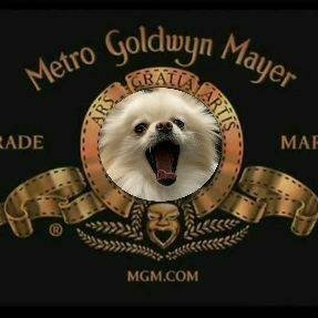 8VSdYRLHrkY5vzF's profile picture. 