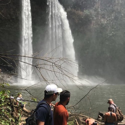 brunoafurquim's profile picture. 