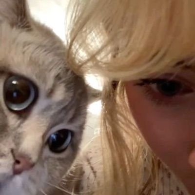 favs___archived's profile picture. & how ℊ𝓇𝒶𝒸ℯ𝒻𝓊𝓁𝓁𝓎 she rises even after falling ; a 𝘀𝗯𝘁 slights 𝗳𝗮 acc, mostly for 태용, 카리나, 유하 ⋆｡‧˚ʚ♡ɞ˚‧｡⋆