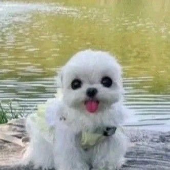 thedilfz's profile picture. originally, inland empire. frequently, los angeles. currently/physically, midwest. spiritually, bay area.