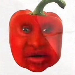 ShaheedShaki8's profile picture. DM for $ rate • 2 week turn around • 100% anon and encrypted • extract from ALL META, X, DISCORD, TELEGRAM*, SIGNAL*, iMESSAGE* (* some limitations)