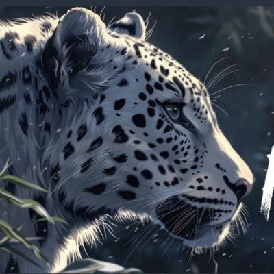 SlaYa412's profile picture. 📸CC/Streamer for 🐆@WhiteLeopardGG🎮https://t.co/Cn9tXd7bze  ❤️‍🔥1.1.21❤️‍🔥
