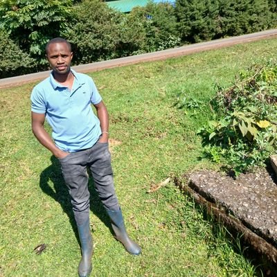 ishmaelkiproti6's profile picture. Radiographer and political analyst.