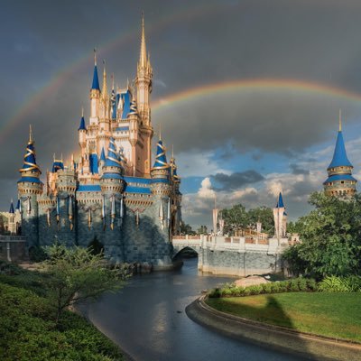 mooformoore5's profile picture. Anaheim Ducks, Baltimore Orioles, Baltimore Ravens, and Oregon Ducks—show a clear preference for avian mascots.