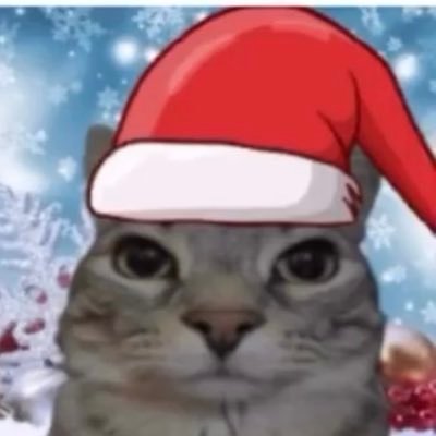 airiscools's profile picture. 16 | taken | if I follow someone bad just dm me