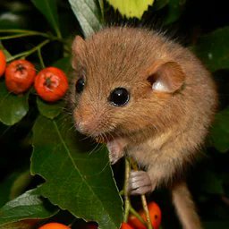 BHemispher927's profile picture. A professional conversationalist flat-out full-bore *delves*.