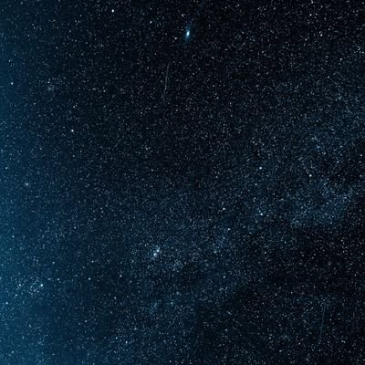 AnnFreserPryce's profile picture. 