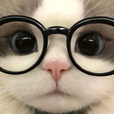 xhanxxxxx's profile picture. Helloooooo