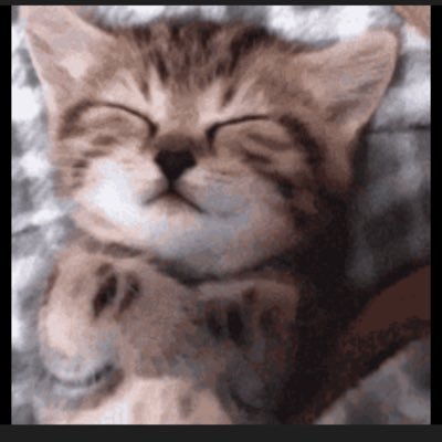 JapangangHor's profile picture. Gamer