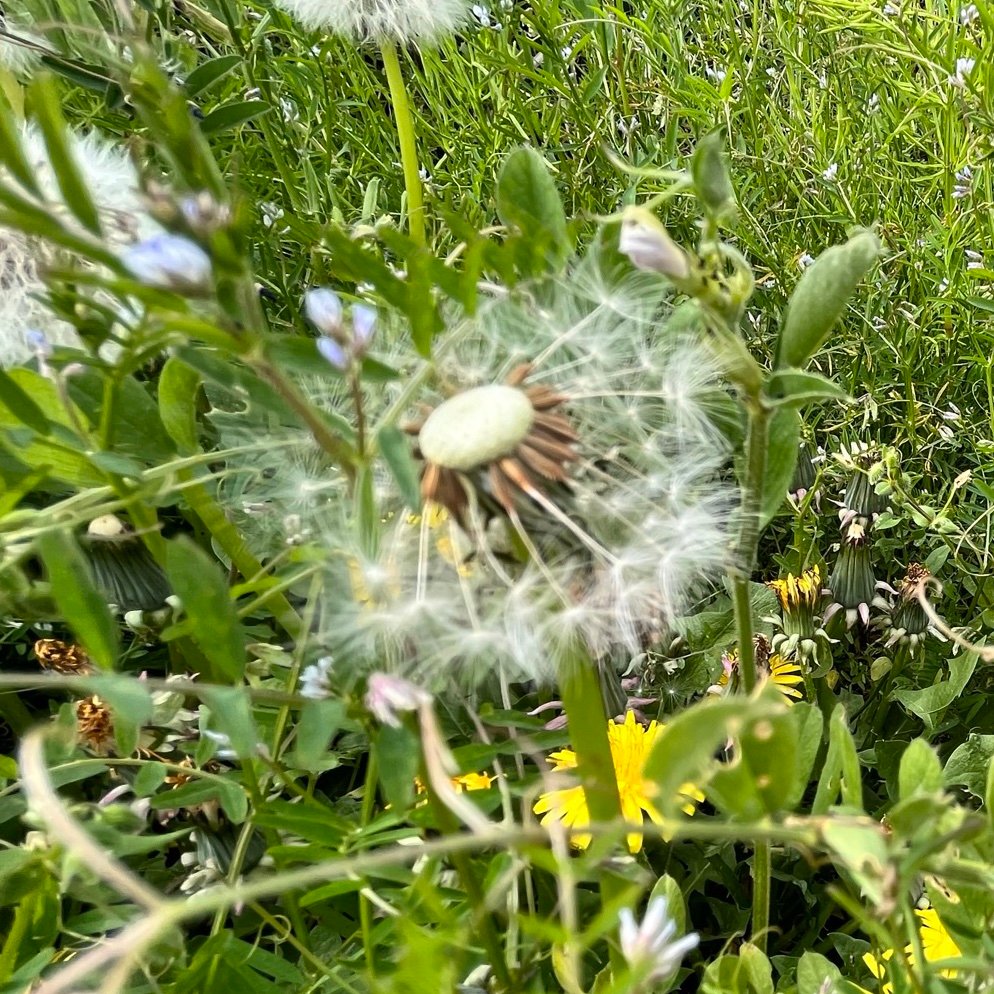 kurumi__waruyo's profile picture. 