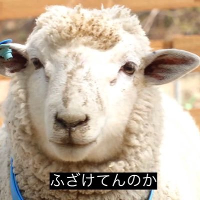 8xf6zx6's profile picture. 日常的なことや愚痴等/“人生をまとめるとか小賢しいにも程がある　どうせ高確率で志半ばだよ　たゆまず挑んでとっ散らかったまま前のめりに倒れ給え”